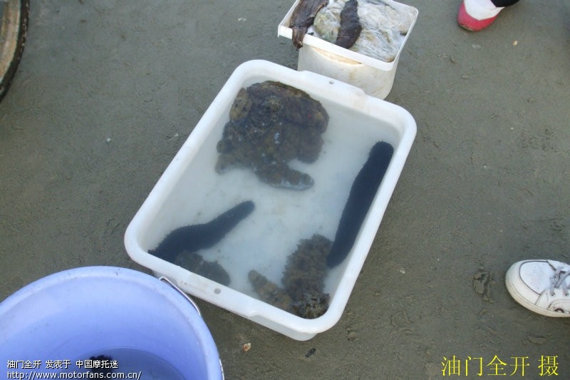 阳光、海滩、椰树--跟着胜哥海南过年(海量图片更新中……) - 湖南摩友交流区 - 摩托车论坛 - 中国第一摩托车论坛 - 摩旅进行到底!