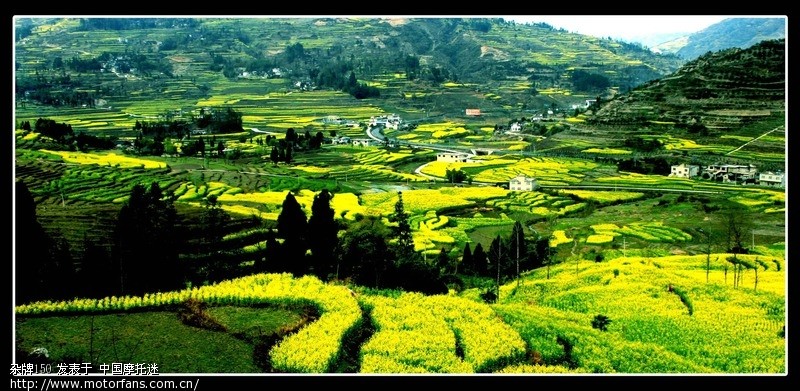 家乡的田野(学拍一点风景照) - 摩托车论坛 - 摩