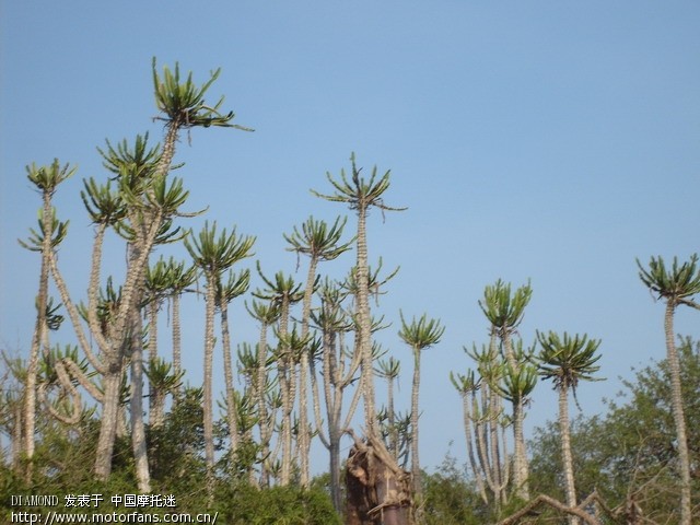 偶在非洲工作时的PP(持续上传中… 完 ) - 摄影