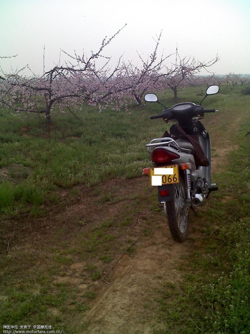 晒晒我的铃木赛驰QS110 - 弯梁世界 - 济南铃木