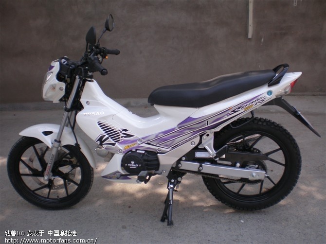 小展示下我的幼兽、人妖、城市弯梁 - 弯梁世界