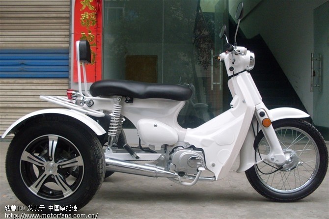 小展示下我的幼兽、人妖、城市弯梁 - 弯梁世界