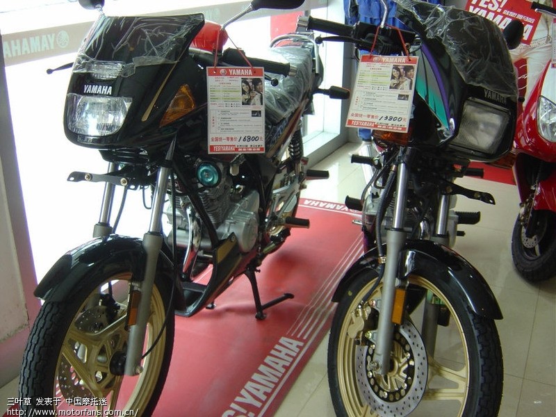 今天特地跑了一趟雅马哈专买看天剑王劲豹子