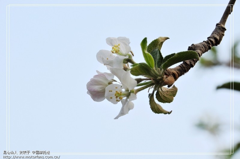 祝重建青海板块及三水重蹬版主 - 青海摩友交流
