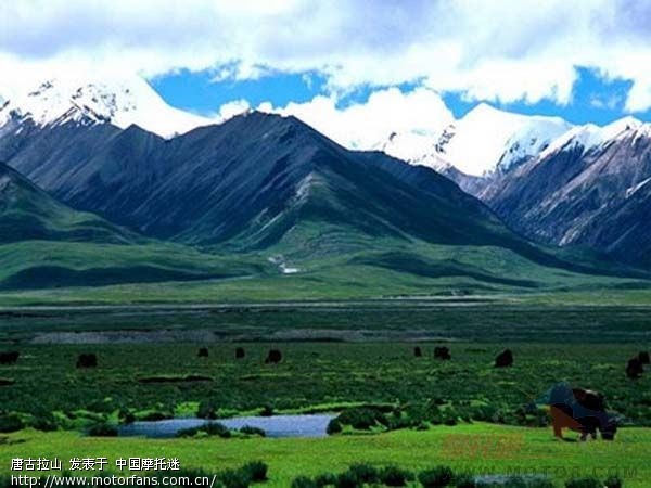 『原创《 我的传奇进藏经历 》 雪山斗藏獒, 荒