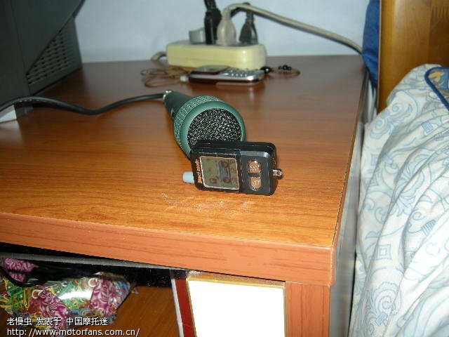 4狗守c8,我怕,又加一只虎 - 弯梁世界 - 雅马哈-