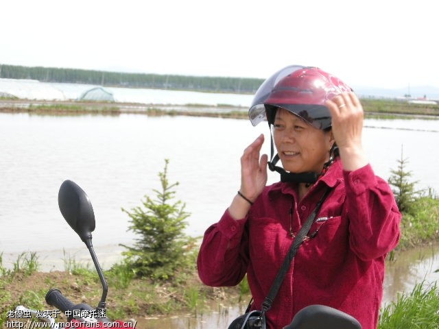 4狗守c8,我怕,又加一只虎 - 弯梁世界 - 雅马哈-