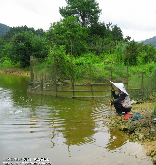 天天下雨,摩旅不成,只好钓鱼。 - 踏板论坛 - 摩