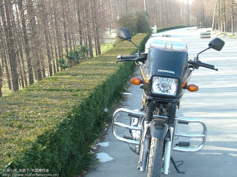 金锋锐SDH125-50 - 新大洲本田 - 摩托车论坛