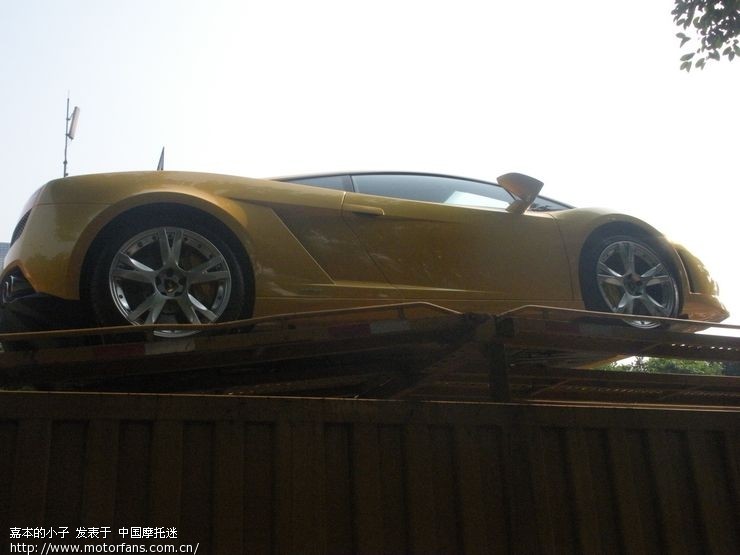 还有两个兰博基里!我看到时已经高高在上了!两个阿斯顿.马丁高清图片