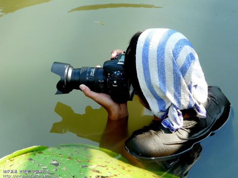 换个镜头,佳能70-200mm f\/2.8L IS ,7月13号再次