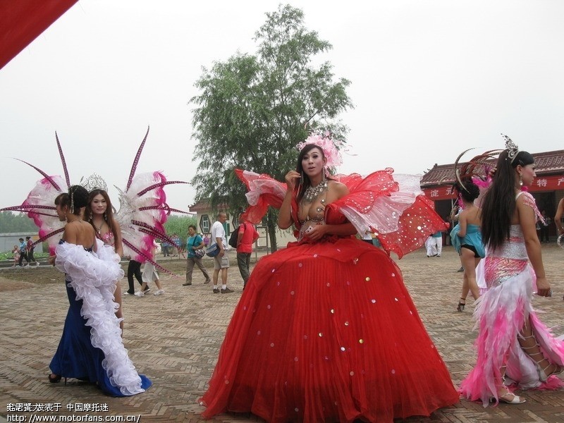 2010第八跑--华北明珠白洋淀。 - 天津摩友交流