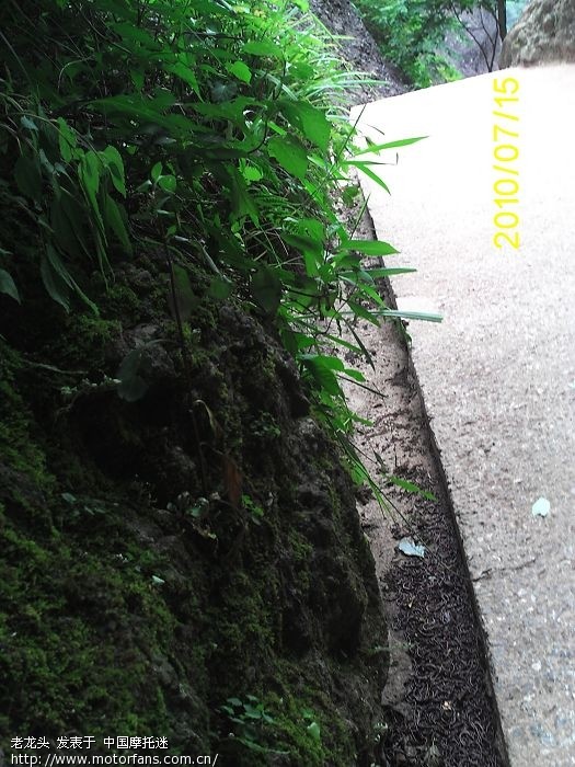 都是宋祖英惹的祸 - 湖南摩友交流区 - 摩托车论