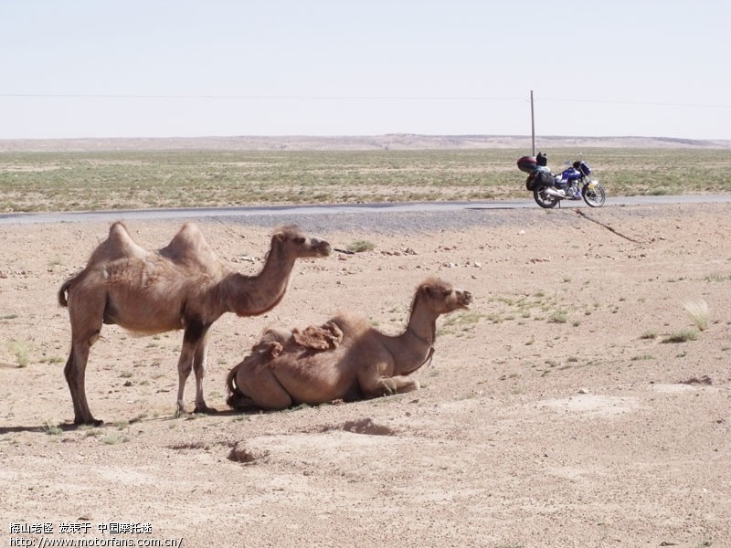 ★北京至新疆哈密万里单骑游记,沿途照片精选
