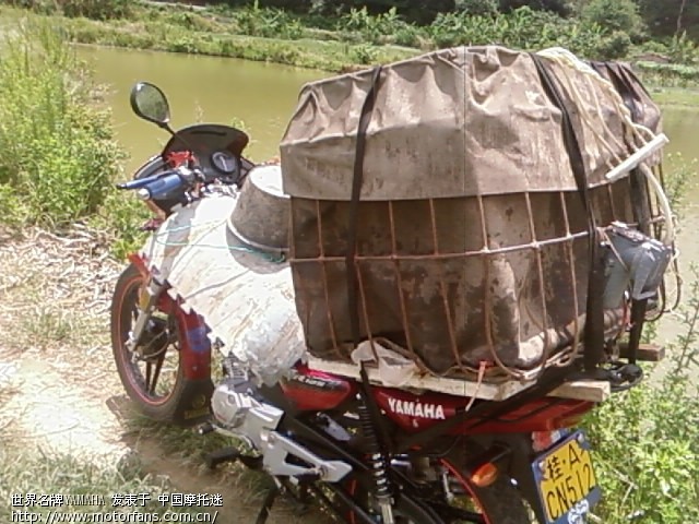 天剑V铃木王 - 雅马哈 - 摩托车论坛 - 中国第一