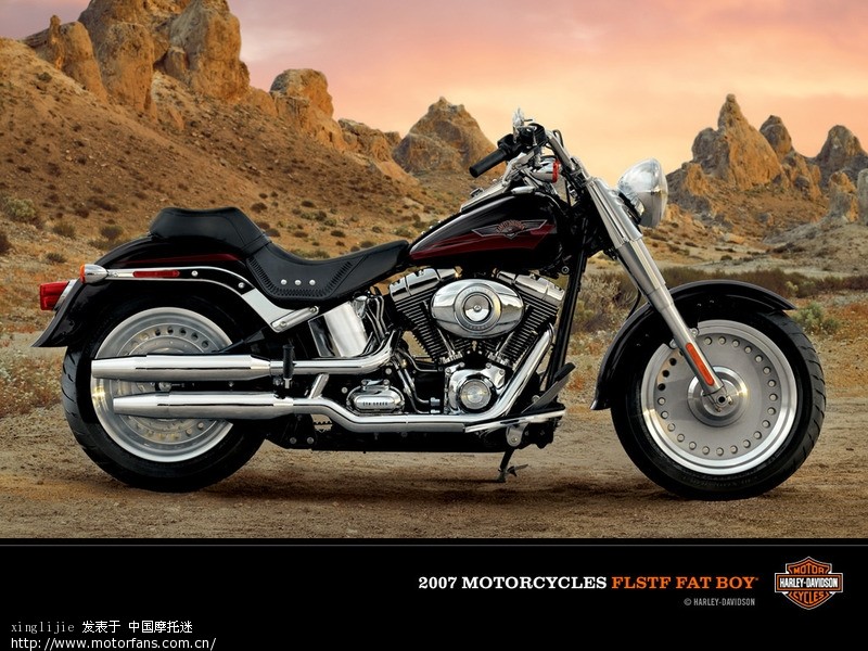 肥仔 - 天下大排 - 哈雷Harley-Davidson - 摩托车