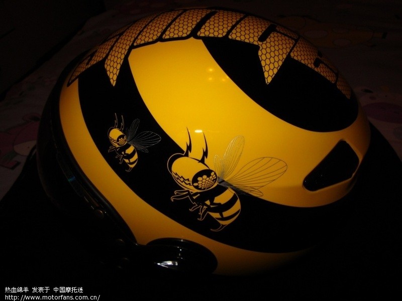 我今天新买的瑞狮头盔~上面有几只大黄蜂啊~