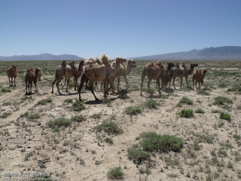 ★北京至新疆哈密万里单骑游记,沿途照片精选