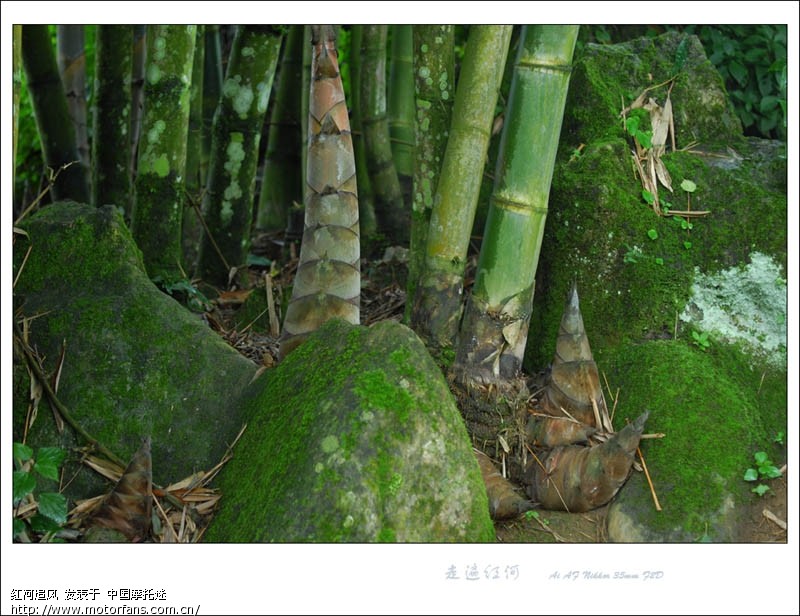 【雨女星金平】-云南摩友交流区-摩托车美女她是谁论坛中游导演嘿某v女星声咻惊爆和图片