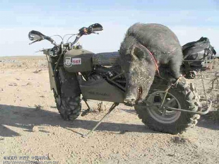 新车上市(全地形车) - 天津摩友交流区 - 摩托车