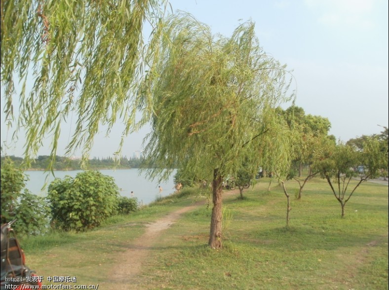 闵行区的,没事逛逛光华路,风景很美!(多图) - 上