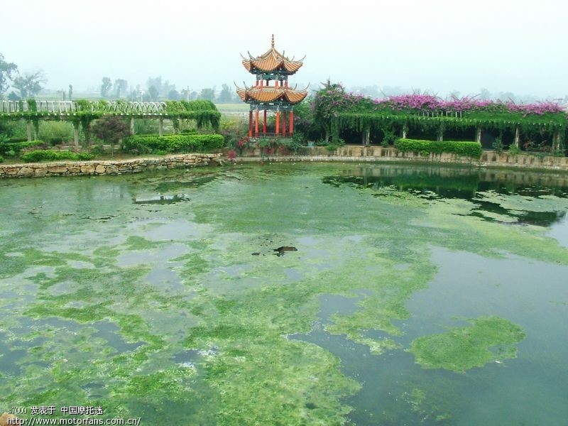 周末桔乡游:华宁泡温泉,盘溪大龙潭游泳。 - 云