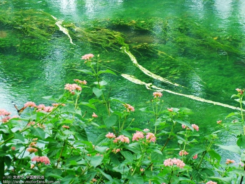 周末桔乡游:华宁泡温泉,盘溪大龙潭游泳。 - 云
