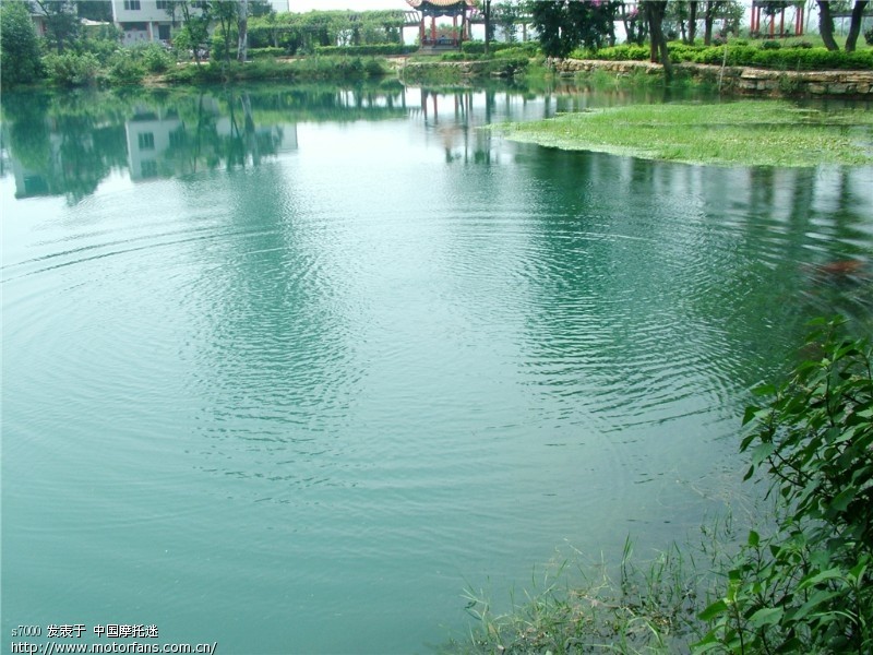 周末桔乡游:华宁泡温泉,盘溪大龙潭游泳。 - 云