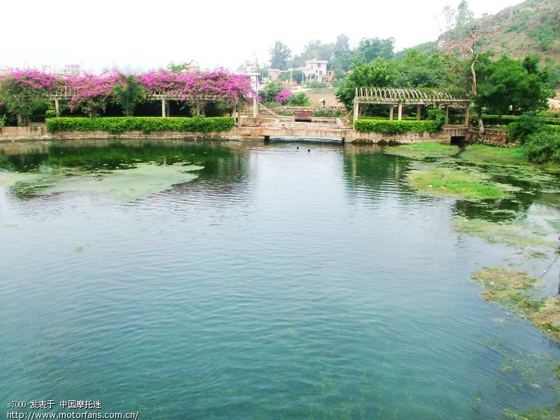 周末桔乡游:华宁泡温泉,盘溪大龙潭游泳。 - 云