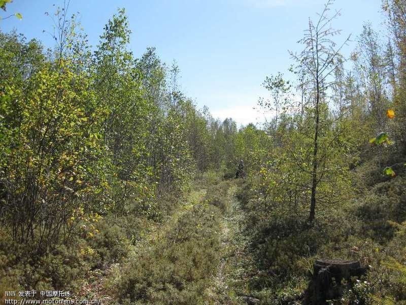 哈尔滨-黑河-乌苏里-北极村-漠河-塔河,加格达奇