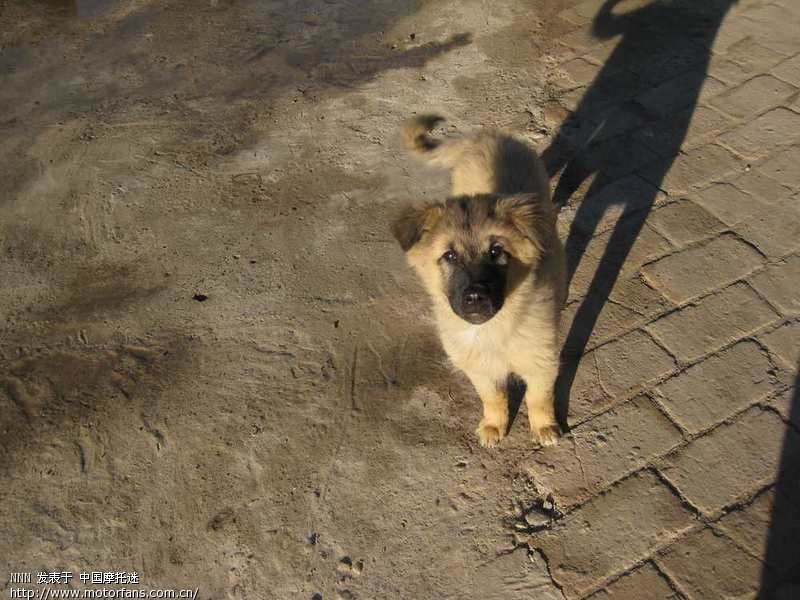 哈尔滨-黑河-乌苏里-北极村-漠河-塔河,加格达奇