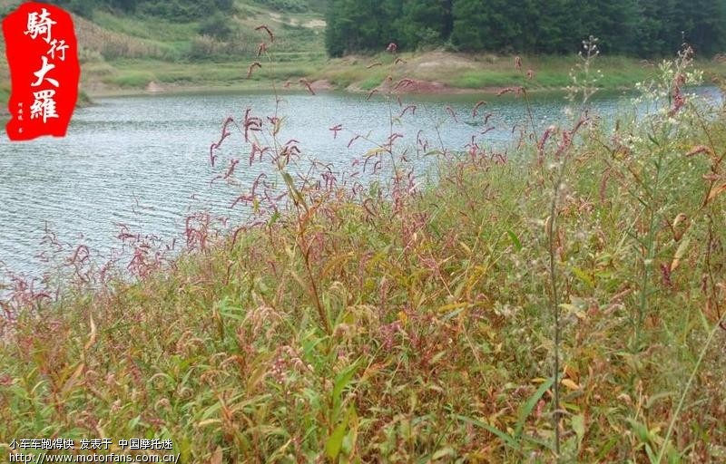 2010中秋小跑天池(綦江打通镇大罗乡红花湖) 