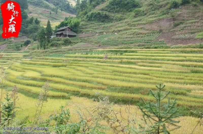 2010中秋小跑天池(綦江打通镇大罗乡红花湖) 