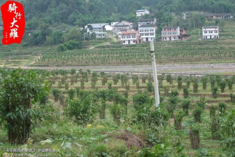 2010中秋小跑天池(綦江打通镇大罗乡红花湖) 