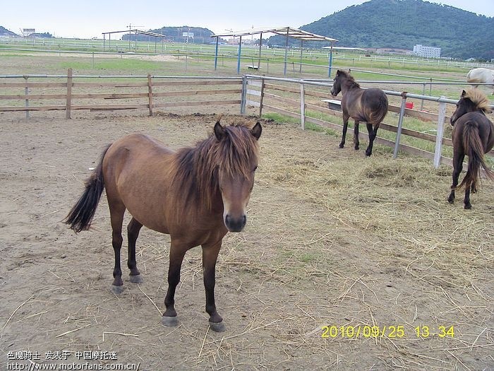 ■摩游记第一回:平湖九龙山(照片已更新)■ - 上