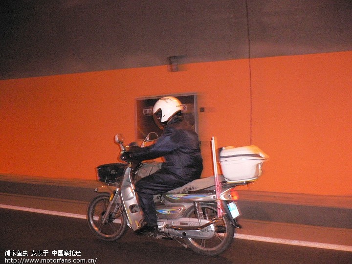 迟到的作业:我的猫梁星子行!(第四天已更新,视