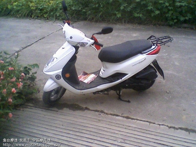 悦鹰尾翼 - 踏板论坛 - 雅马哈踏板摩托 - 摩托车