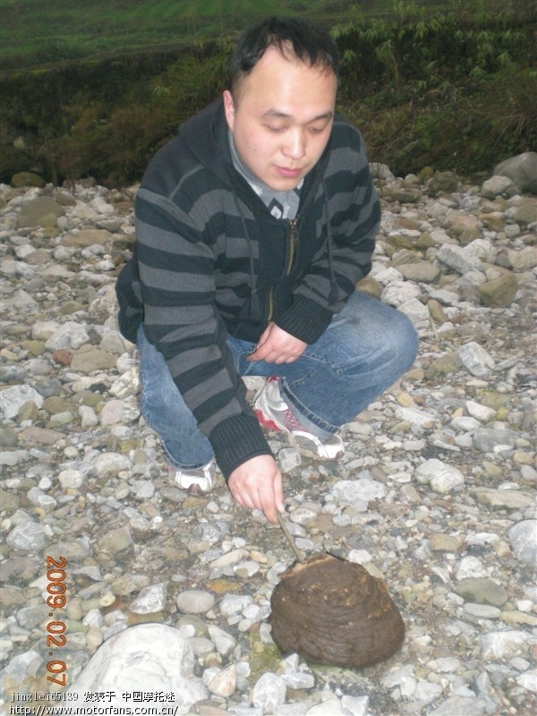 老顶坡上白菜牌照价格是多少? - 重庆摩友交流