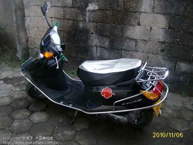 我的小喜快到2000啦 报告下健康! - 踏板论坛 -