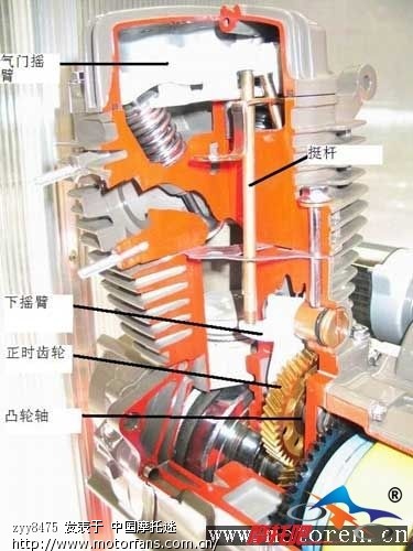 链条,顶杆机怎样区分。付美女PP欣赏。 - 豪爵