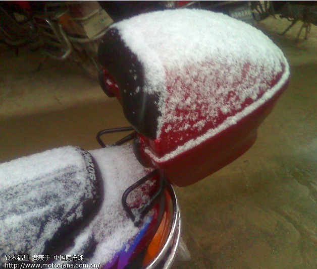 啊哈!下雪了~~福星在外面变白色的了~ - 踏板论