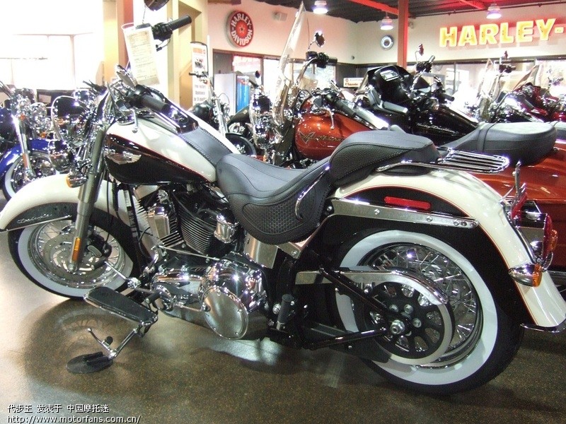 参观了哈雷的4S店,大量图片。#33楼(2010-12