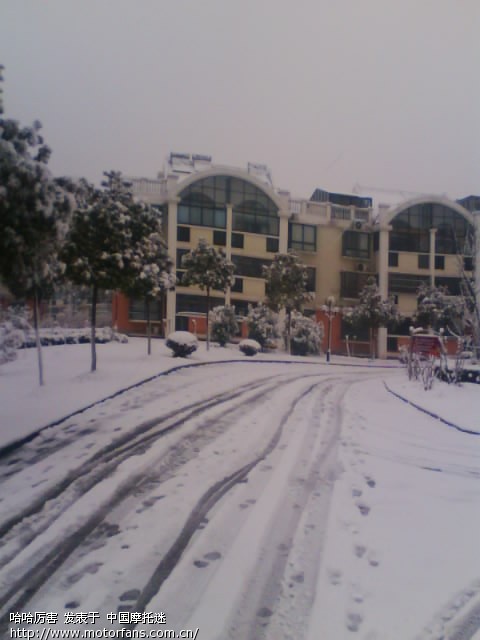 南方还是北方。进来看下吧 - 上海摩友交流区