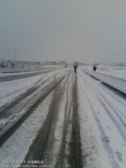 南方还是北方。进来看下吧 - 上海摩友交流区