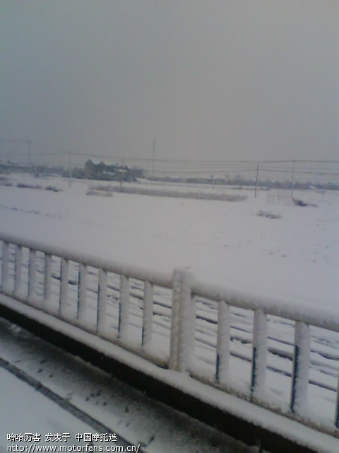 南方还是北方。进来看下吧 - 上海摩友交流区