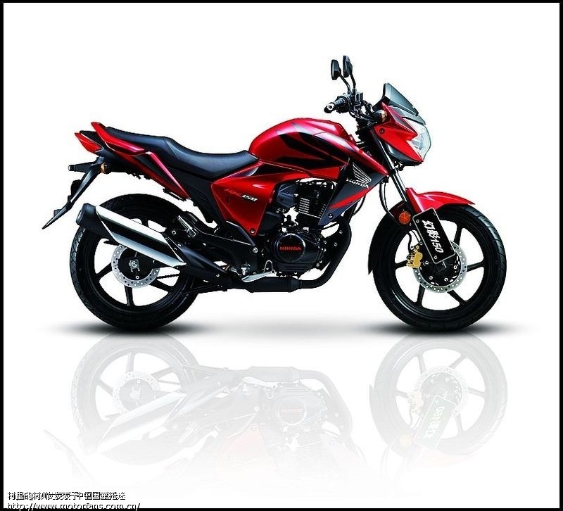 钱江龙150-19D VS 新大洲本田CBF150 RR15