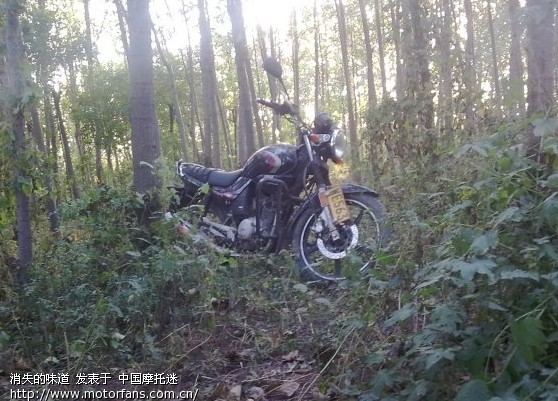 2w公里07天剑坏后轮轴承了 摩托车 高清图片