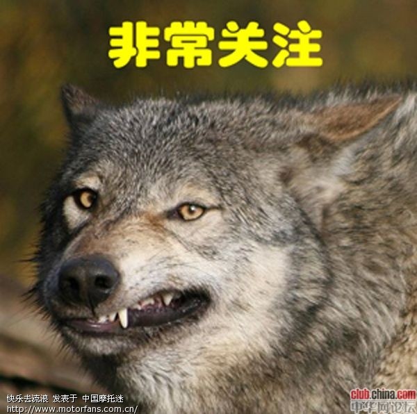 地狱拳王168战打死114人 徒手杀人技巧无人能