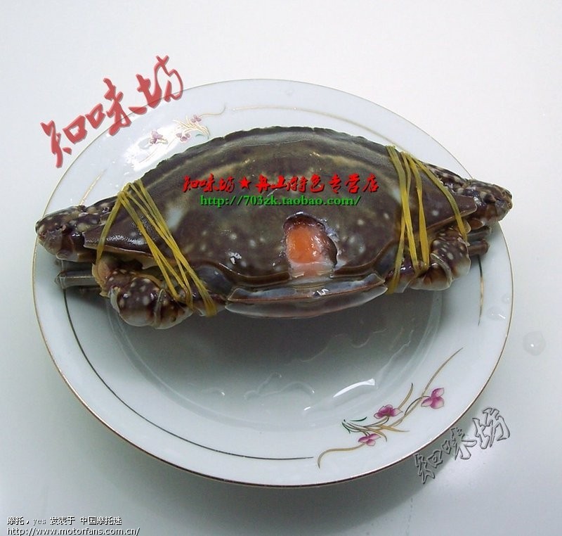 昂贵海鲜干货有_海鲜干货的创意包装_海鲜干货有哪些