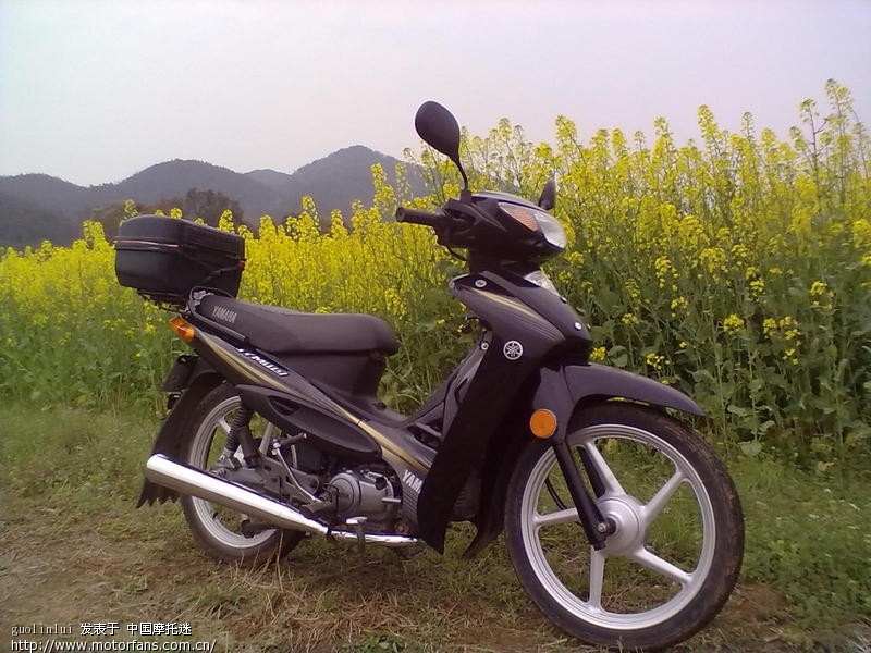 JYM110-F8骑行日记 - 踏板论坛 - 雅马哈踏板摩